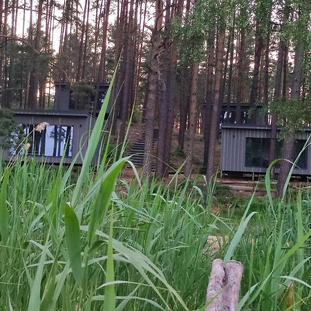 Gaujaclub - Our Bose And Bang&Olufsen Lofts On A Lake Gauja  Ngoại thất bức ảnh
