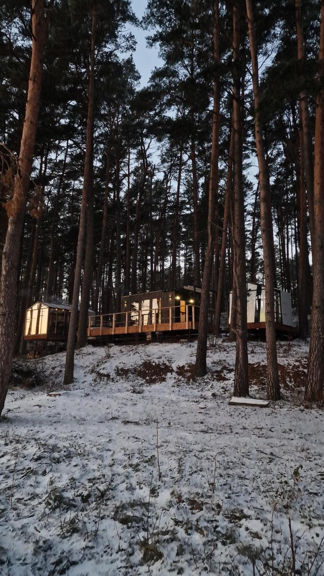 Gaujaclub - Our Bose And Bang&Olufsen Lofts On A Lake Gauja  Ngoại thất bức ảnh